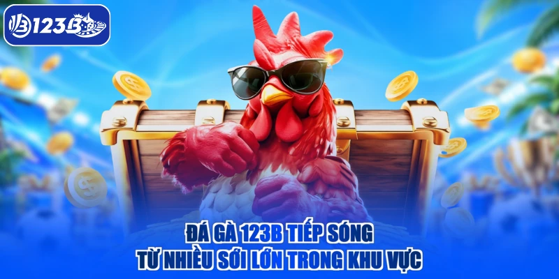 Đá gà 123B tiếp sóng từ nhiều sới lớn trong khu vực