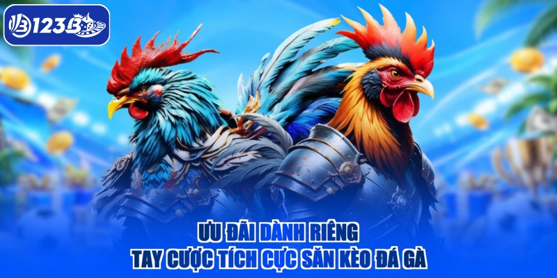 Ưu đãi dành riêng tay cược tích cực săn kèo đá gà